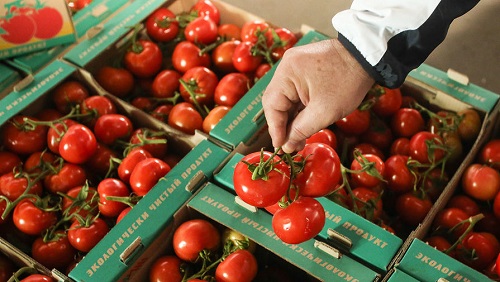 В России запретили ввозить помидоры из Белоруссии, но не все