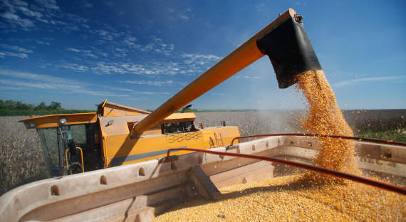 В России повысили экспортные пошлины на пшеницу