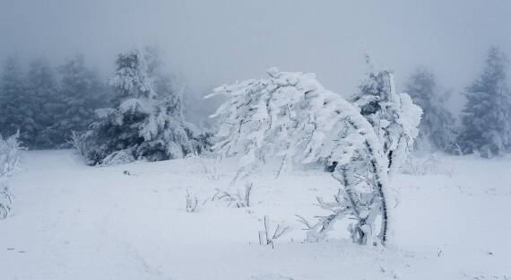 Погода в Хакасии 10 января: Стало холодать