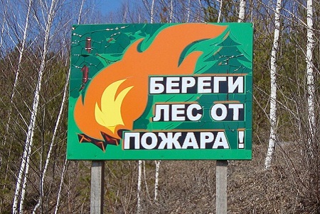 В лесах Хакасии до сих пор запрещено жечь костры