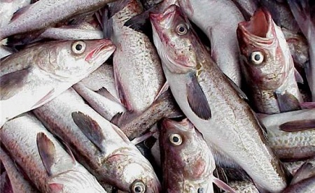 На рынки Хакасии могла попасть рыба без документов
