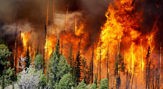 В Сибири горят более 25 тысяч гектаров леса