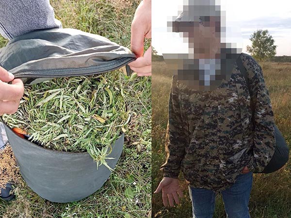 В Хакасии полицейские изъяли почти два килограмма марихуаны