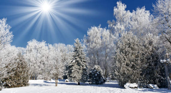 Погода в Хакасии 8 января: Относительное тепло или умеренная прохлада?