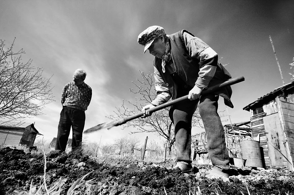 В Бейском районе Хакасии фермер заплатит штраф за "батраков"