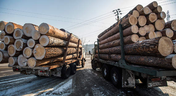 Иркутский губернатор предложил запретить вывоз леса-кругляка