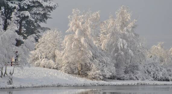 Погода в Хакасии 2 декабря: Холодное безветрие