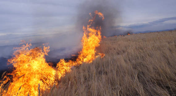 В Хакасии выросло количество степных пожаров