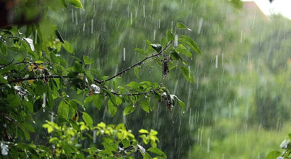Погода в Хакасии 4 июня: Синоптики вновь угрожают дождями