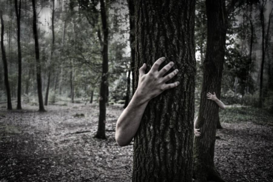 Гость из Красноярского края оставлял абаканским наркоманам сюрпризы у деревьев