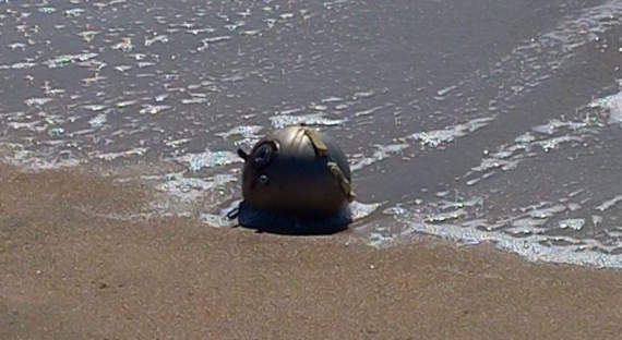 На крымском пляже нашли морскую мину