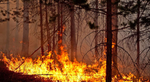 Дым от лесных пожаров накрыл Чукотку