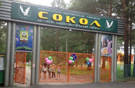 В Красноярском крае произошло массовое отравление детей в лагере