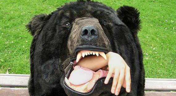 В Хабаровском крае медведь загрыз мужчину