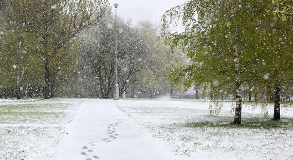 Погода в Хакасии 28 марта: Возвращается снег