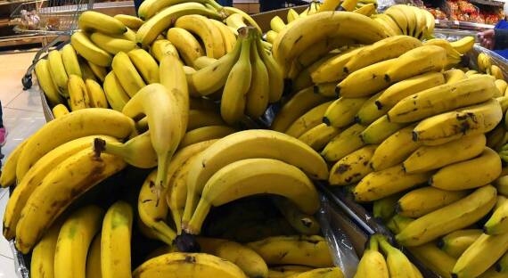 Эквадорские бананы на российском рынке будут заменены индийскими