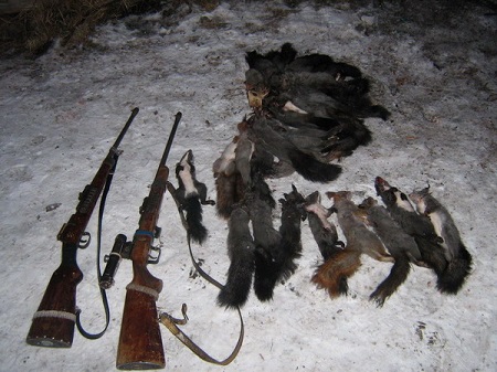 Хакасия отчиталась о борьбе с браконьерами в ушедшем году