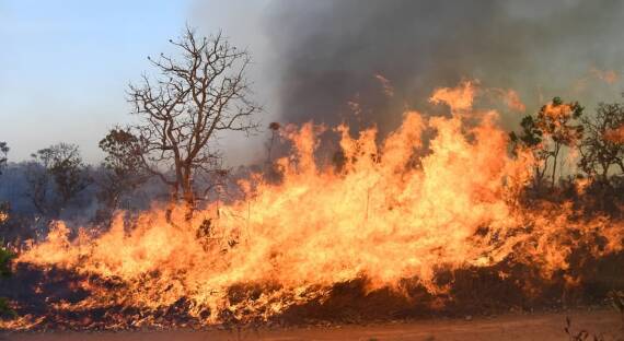 В Туве введен режим ЧС из-за лесных пожаров