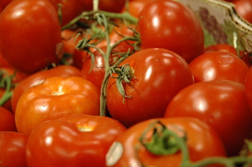 Россия объяснила, когда она впустит на свои рынки турецкие помидоры