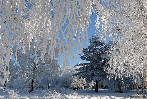 Погода в Хакасии 1-3 февраля: здравствуйте, товарищ «ветродуй»…