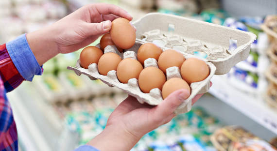 В России вырастут цены на яйца и мясо птицы?