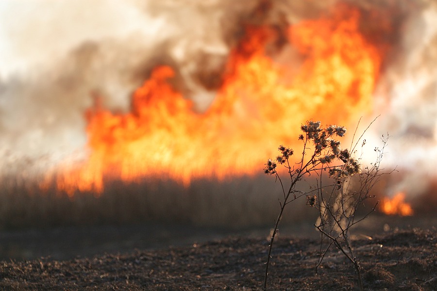 Хакасия в огне: 24 пала травы за сутки