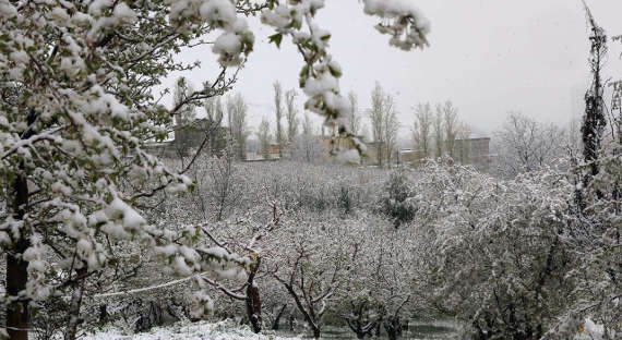 Погода в Хакасии 4 марта: Ожидается снегопад