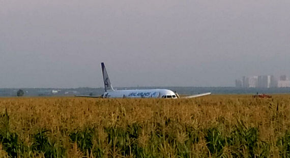 Пассажир А321 снял момент столкновения самолета с птицами