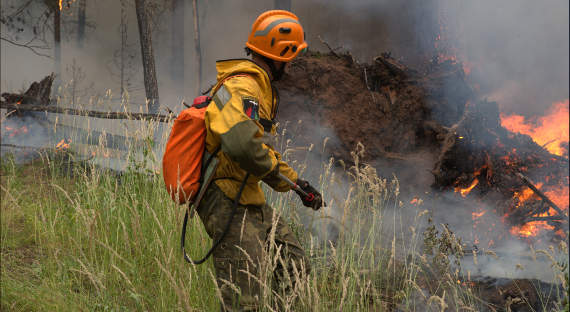 В России выросла площадь тушащихся лесных пожаров