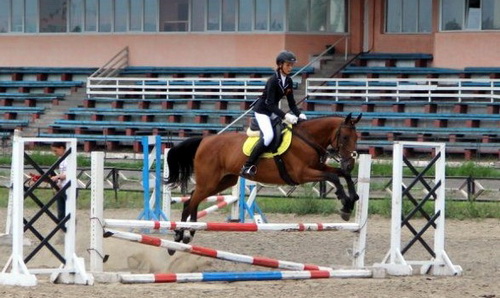 Хакасия в числе победителей турнира по конному спорту в Красноярске