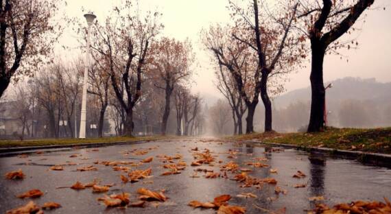Погода в Хакасии 16 октября: Ветреный день