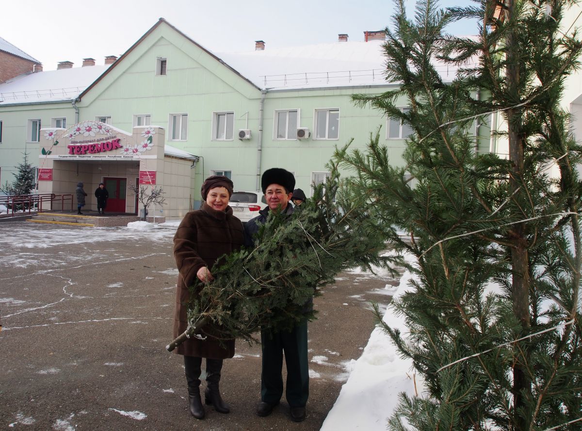 Лесники Хакасии подарят больше 300 новогодних деревьев