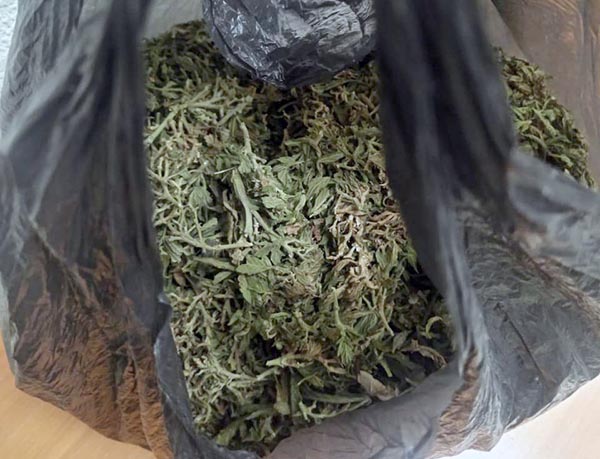 Пожилого наркомана с мешком марихуаны задержали полицейские Абакана