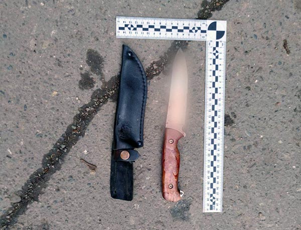 В Черногорске мужчина зарезал сожительницу и ранил детей