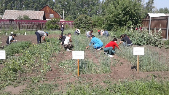 Студентов из Хакасии сослали на полигон для агрономов