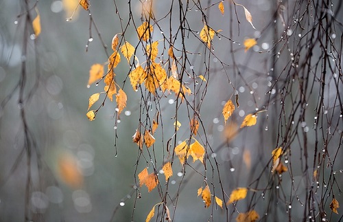Погода в Хакасии 17-19 октября: и снег, и ветер, и звезд ночной полет…
