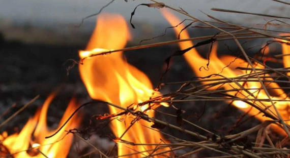 В Хакасии горящее сено спровоцировало масштабный степной пожар