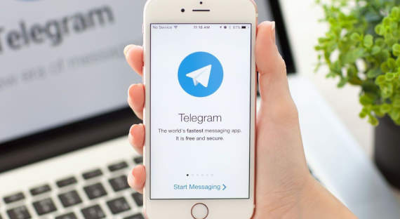В Бразилии решили заблокировали «Телеграм»