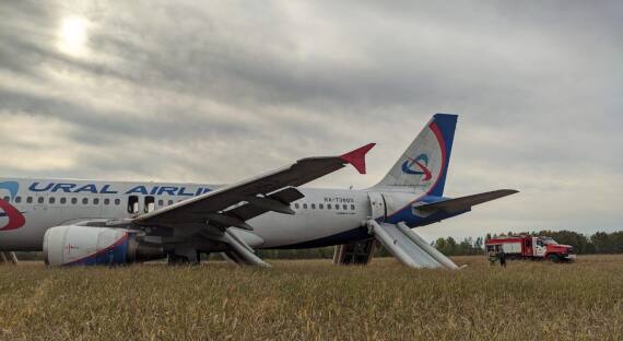 Самолет «Сочи-Омск» совершил экстренную посадку в пшеничном поле