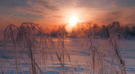 Погода в Хакасии 31 января: Спокойная прохладная погода