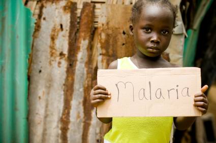 Роспотребнадзор РХ: малярией в Хакасии болели 50 лет назад