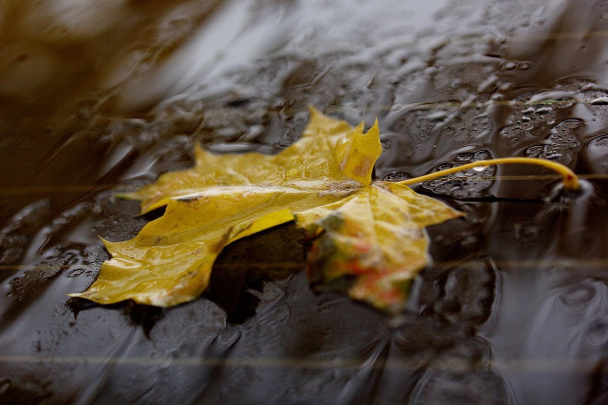 Погода в Хакасии 17 сентября: дожди в косую линеечку…