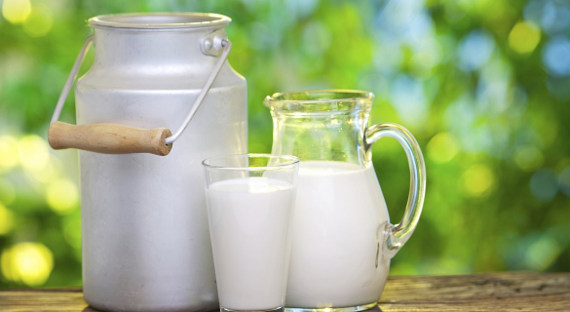 Россия увеличит производство молока до 31,3 млн тонн