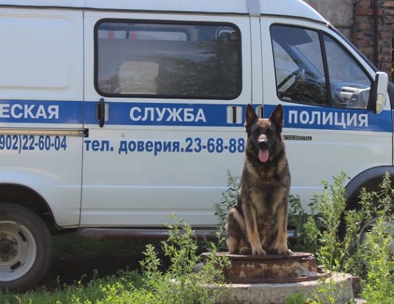 В Саяногорске пес помог раскрыть крупную кражу