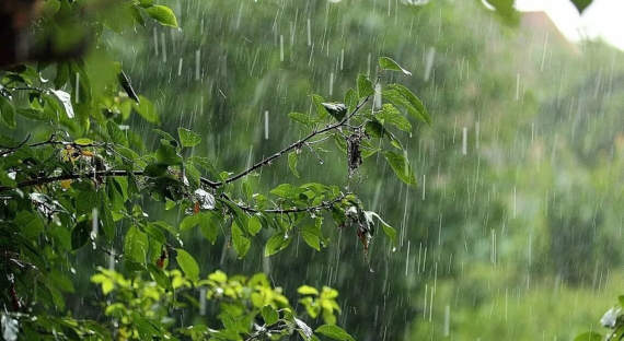 Погода в Хакасии 3 августа: Дождались дождей