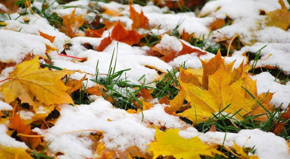 Погода в Хакасии 6 октября: Первый снег?