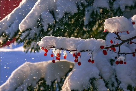 Погода в Хакасии 23 декабря: тепло, но снежно