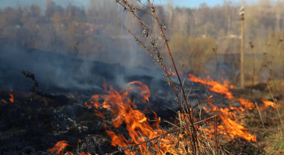 Причиной пожара в селе в Амурской области стал пал травы