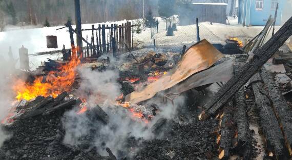 В Черногорске сгорел курятник: уничтожено двадцать кур