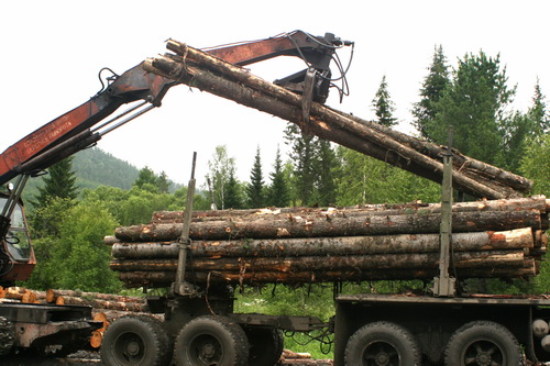 Развитие лесопромышленного комплекса в Хакасии продолжится